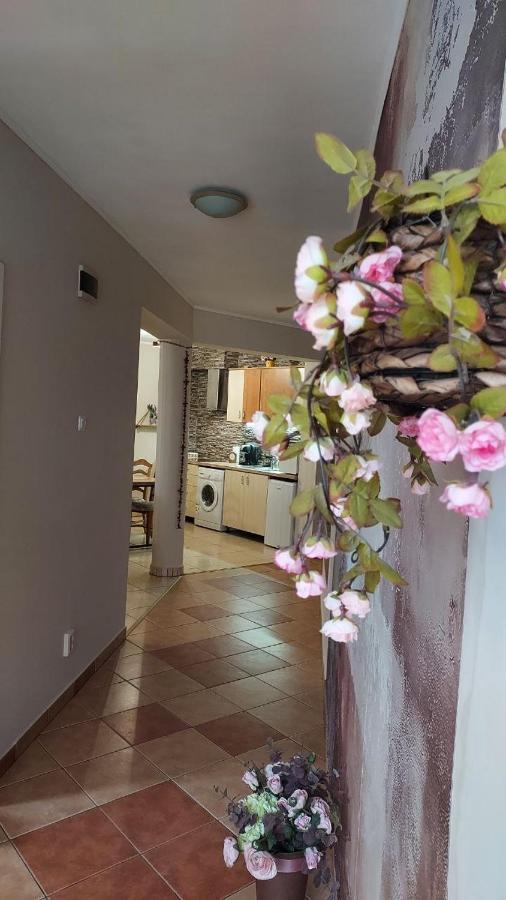 Kara Apartman Odorheiu Secuiesc Ngoại thất bức ảnh